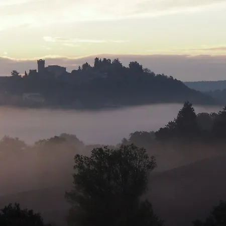 Il Tulipano